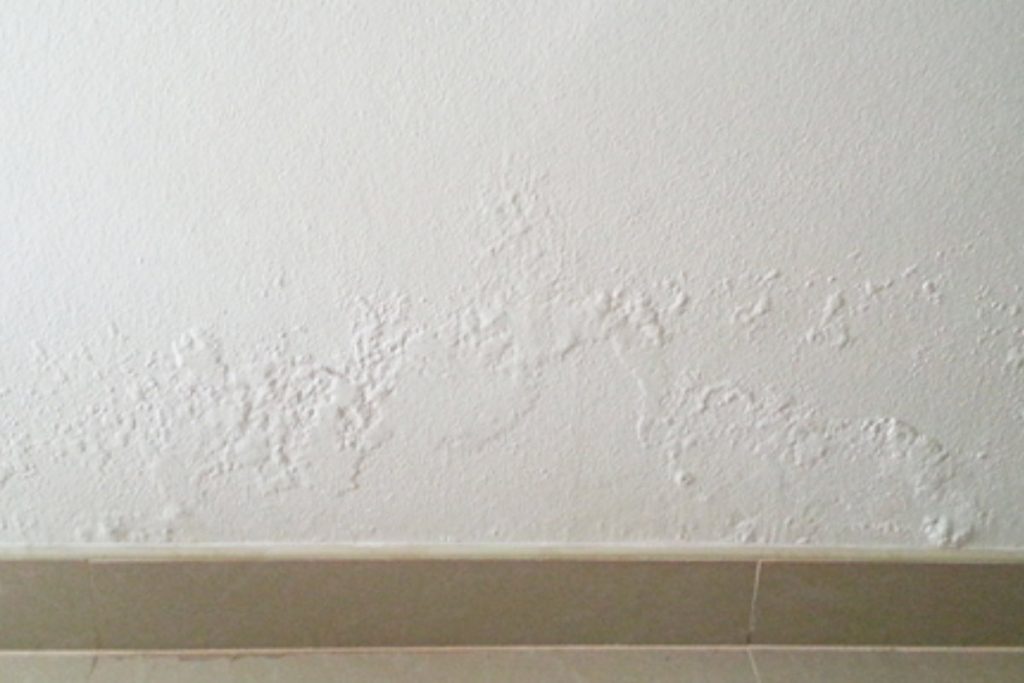 Damp Proofing